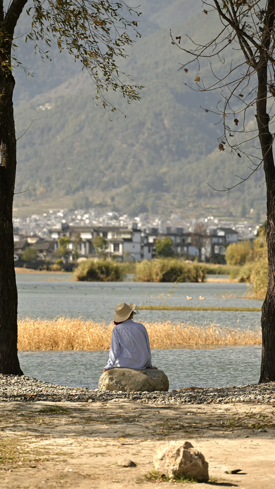 迄今为止最喜欢的秋日旅行地🍂大理两日攻略