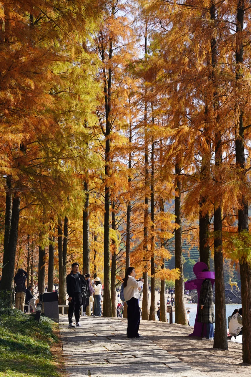 金华山踏秋全攻略🍂｜闯入“一山仙境”