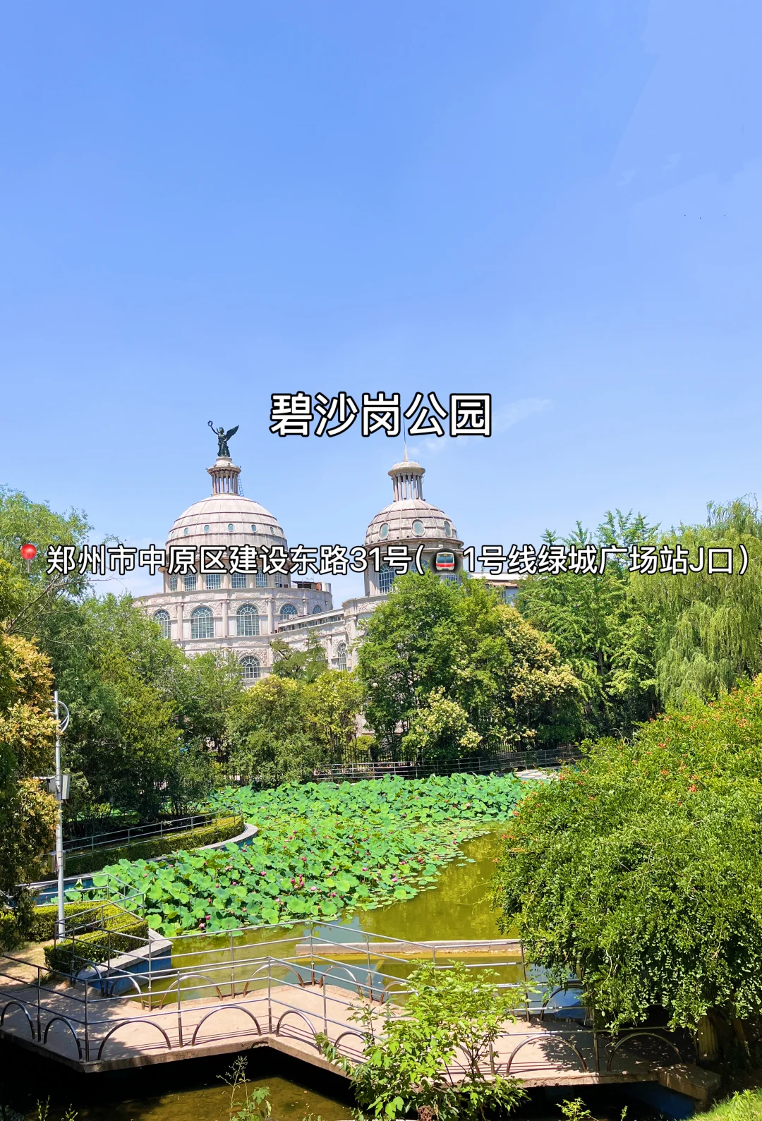 N刷郑州！本人的攻略已经next level…