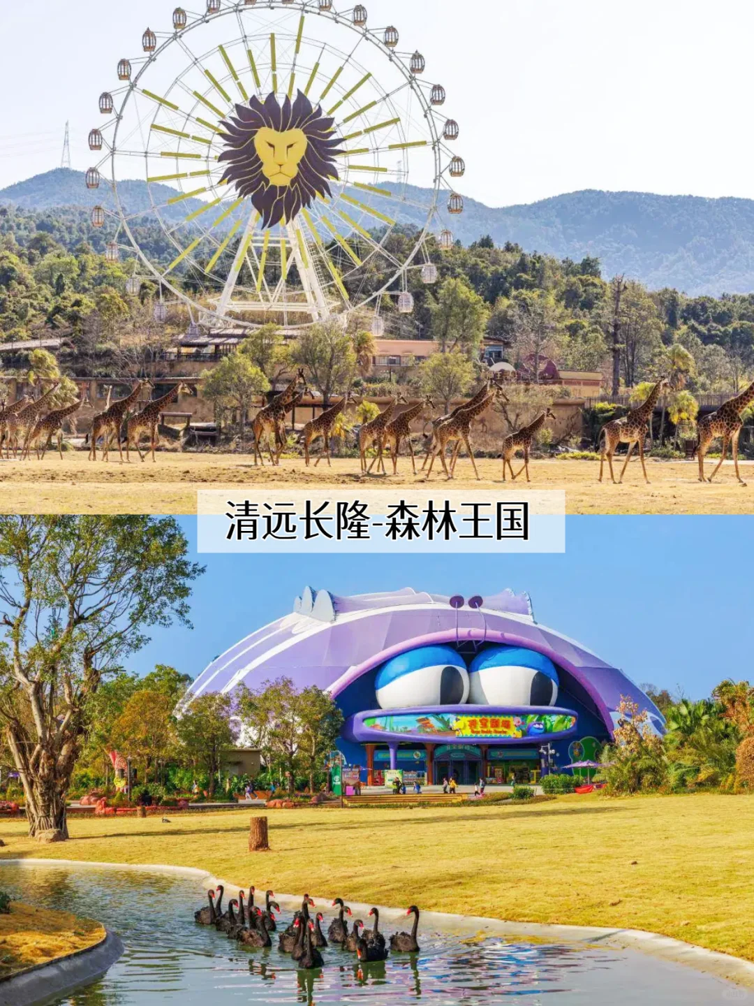 温泉绝了!就在清远长隆,3天人均400+💰