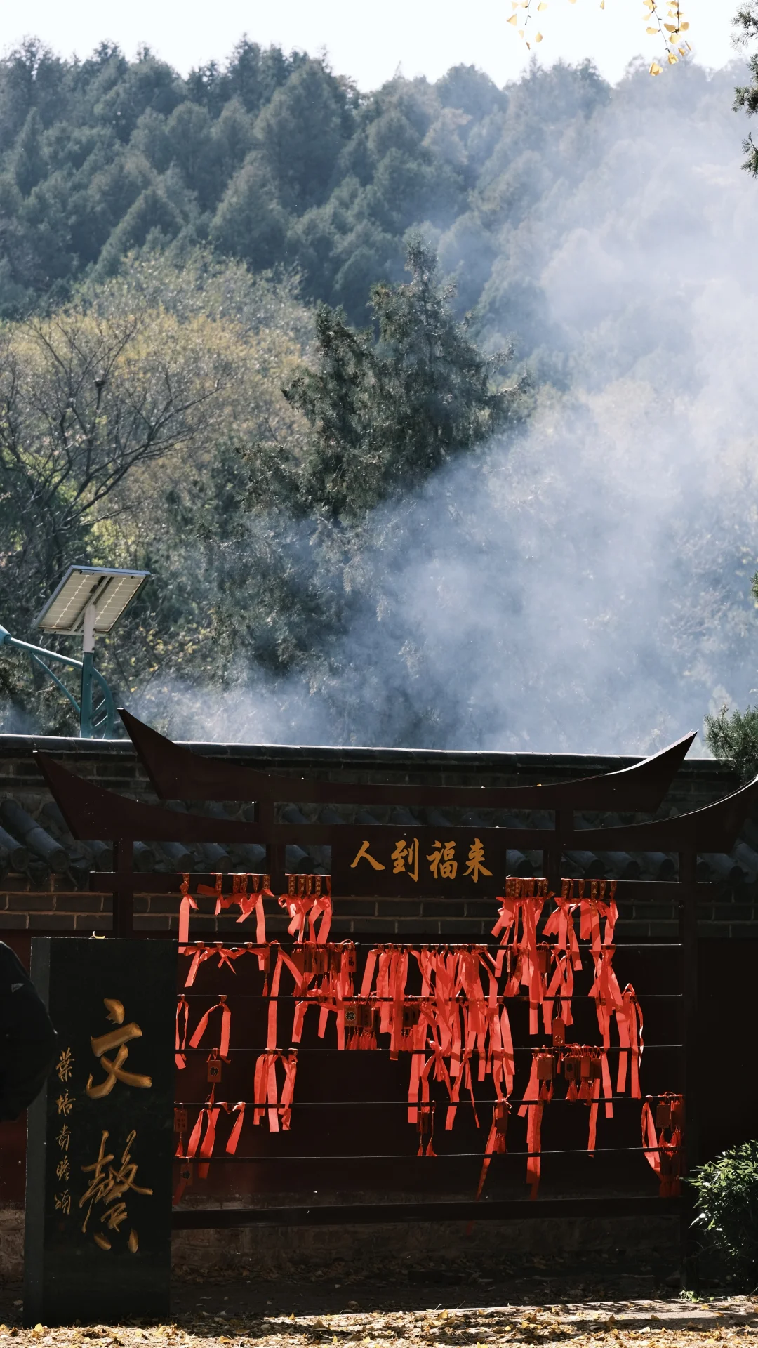 被浮来山角落的烟火气治愈了✨