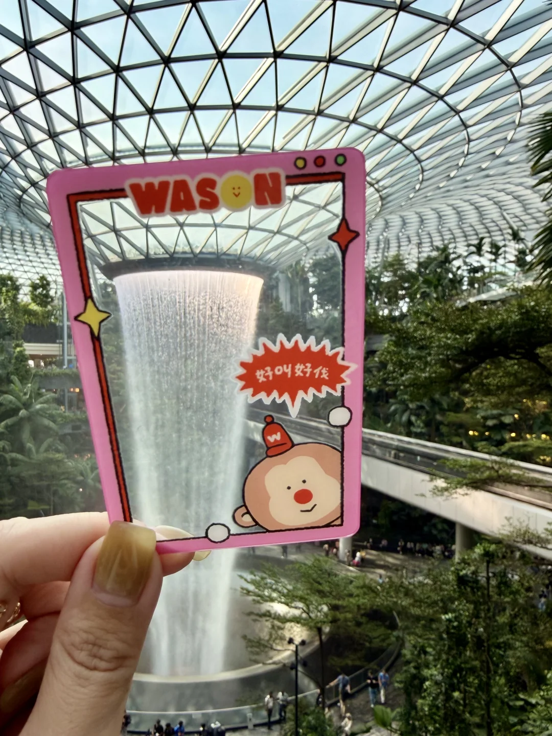 带Wason游新加坡