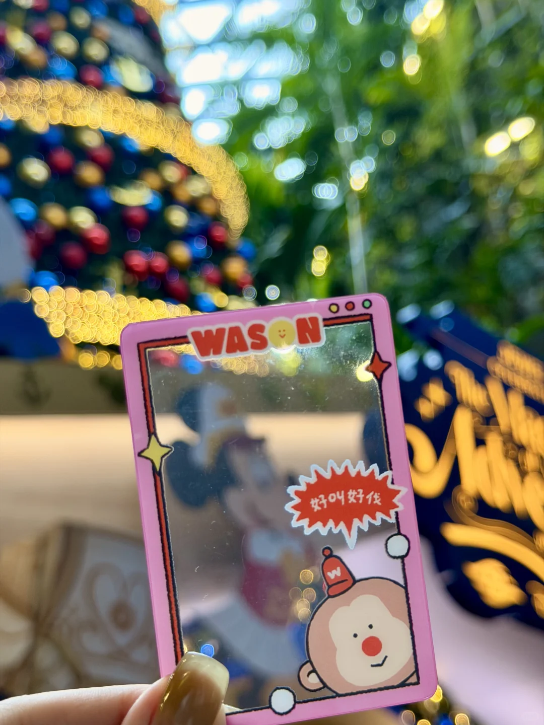 带Wason游新加坡