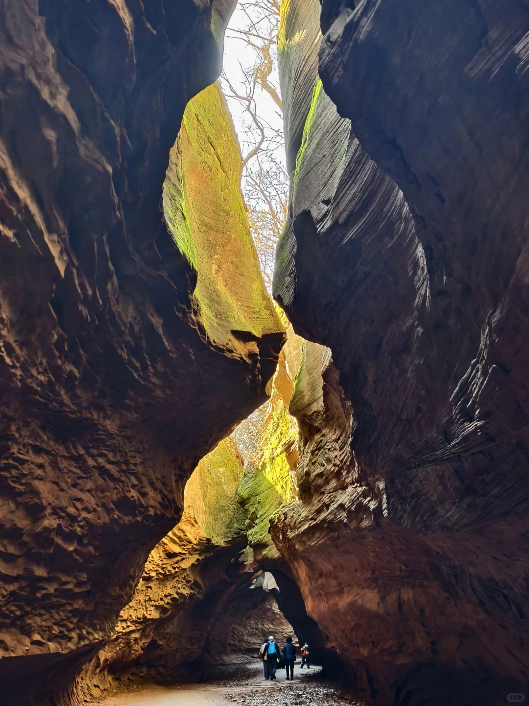 山西行|Day4️⃣延安-靖边