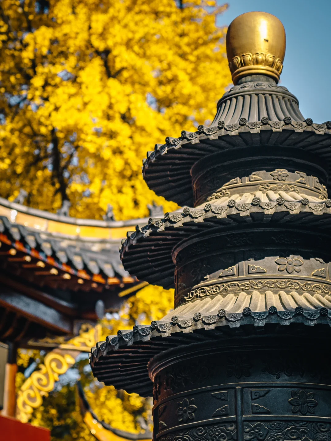 不出合肥，也能拍到很美的银杏景色！