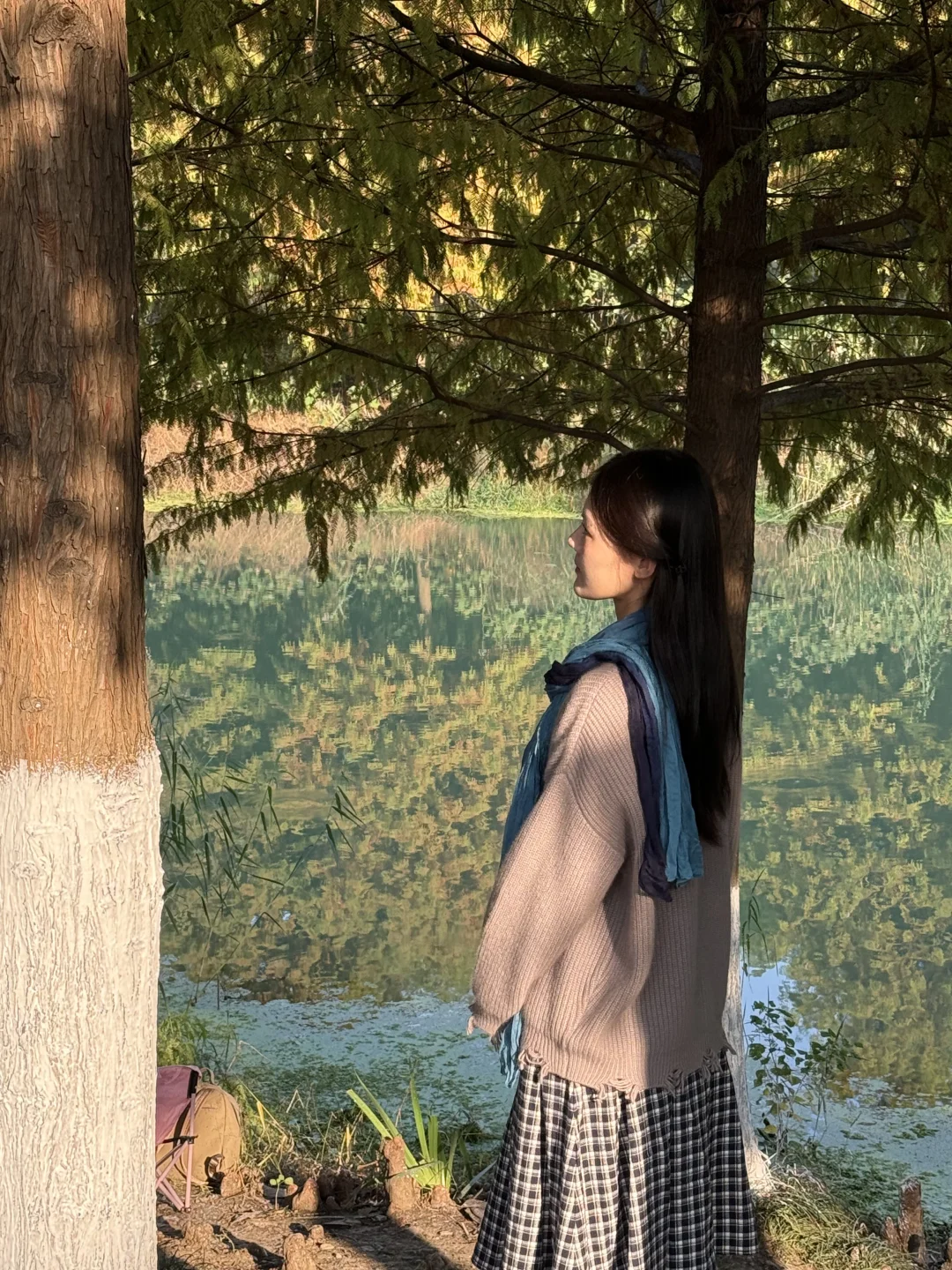 常州|新北水上森林公园