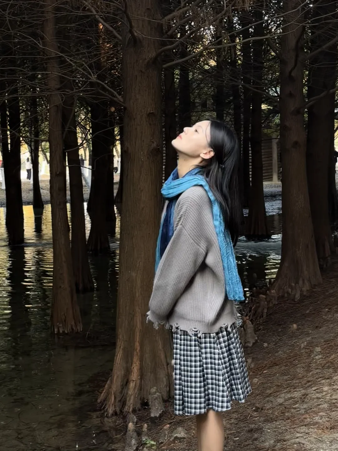 常州|新北水上森林公园