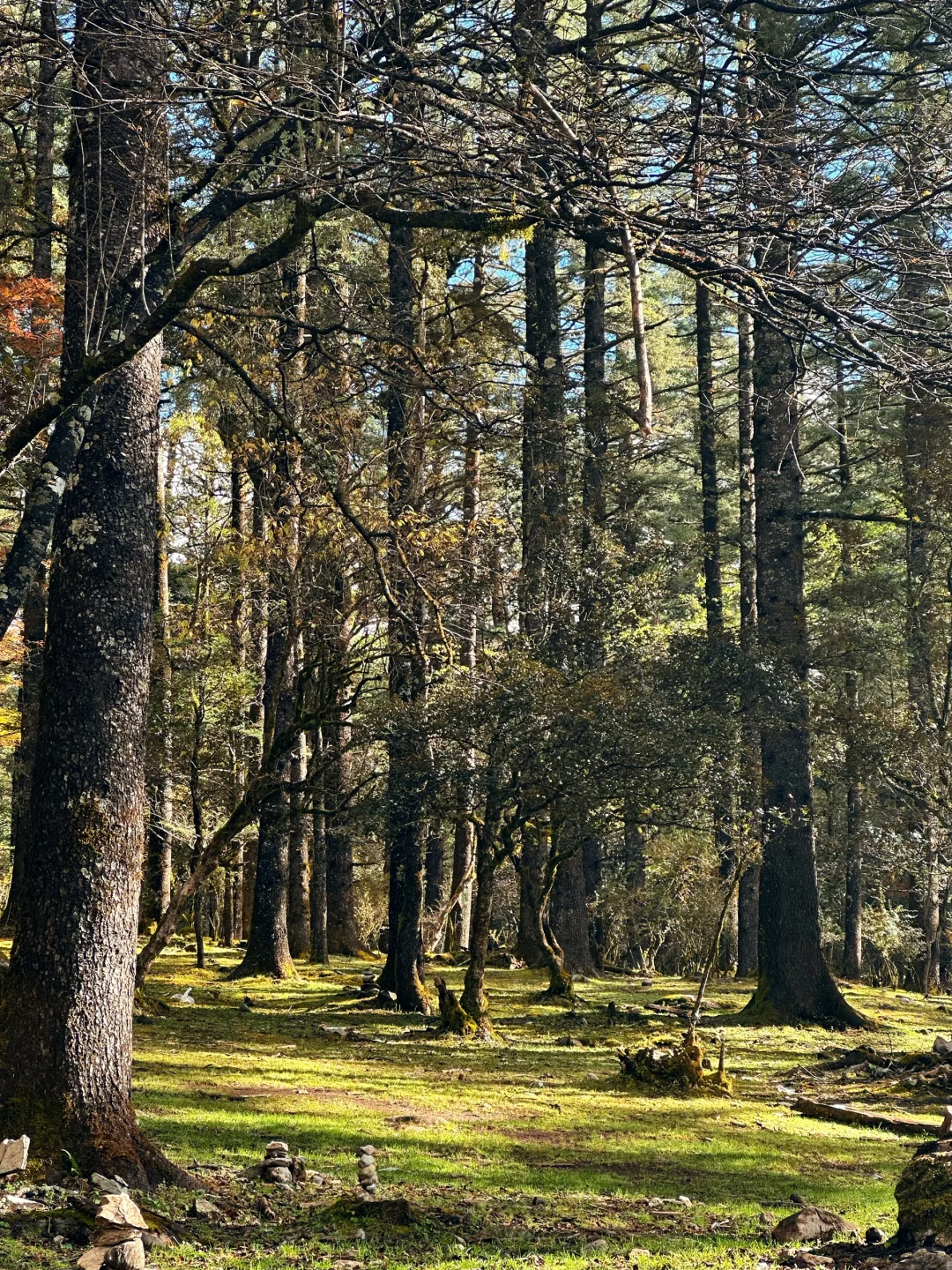 丽江玉龙雪山保姆级攻略|4人实测踩雷&省钱