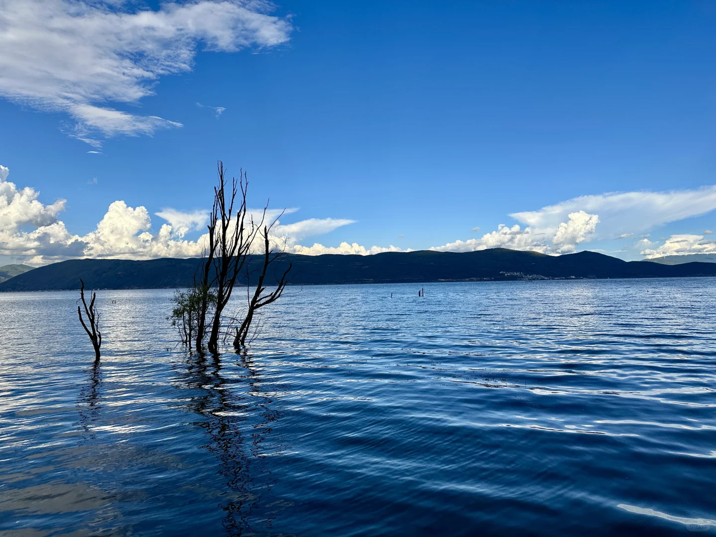 大理海西骑行攻略~懒人半日游🛵