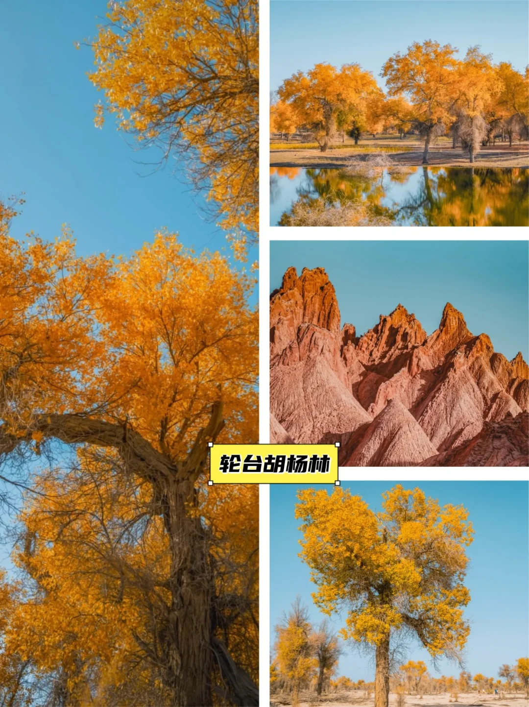 错峰新疆旅游北疆玩雪❄️南疆赏秋🍁攻略