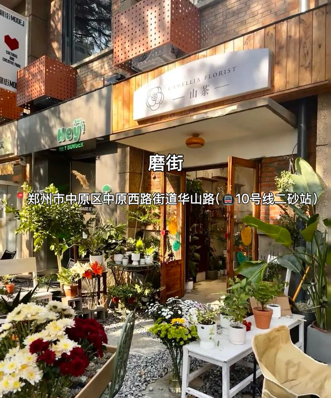 郑州适合citywalk的9条街道！好逛好拍～