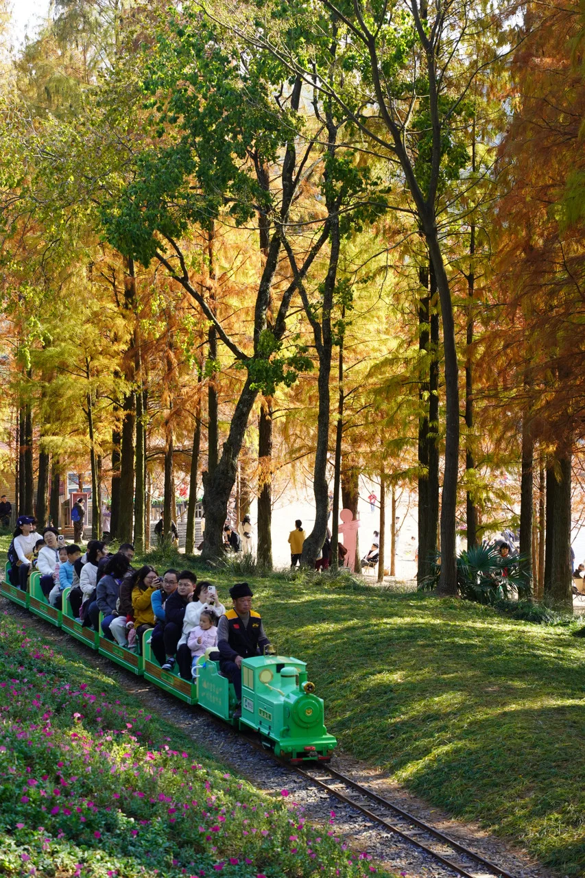 金华山踏秋全攻略🍂｜闯入“一山仙境”