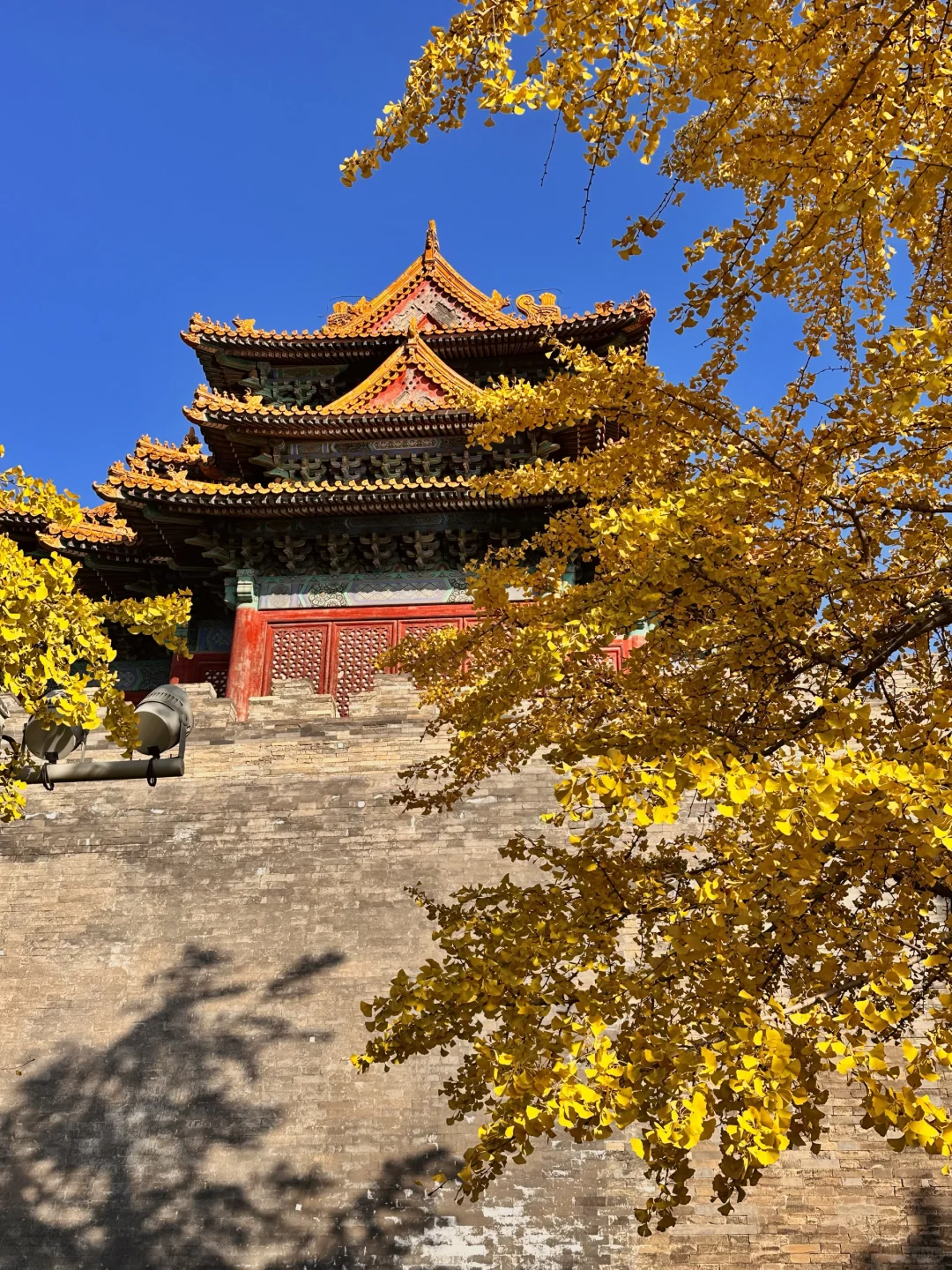 北京的秋还没结束!本周9️⃣个公园赏秋依然美