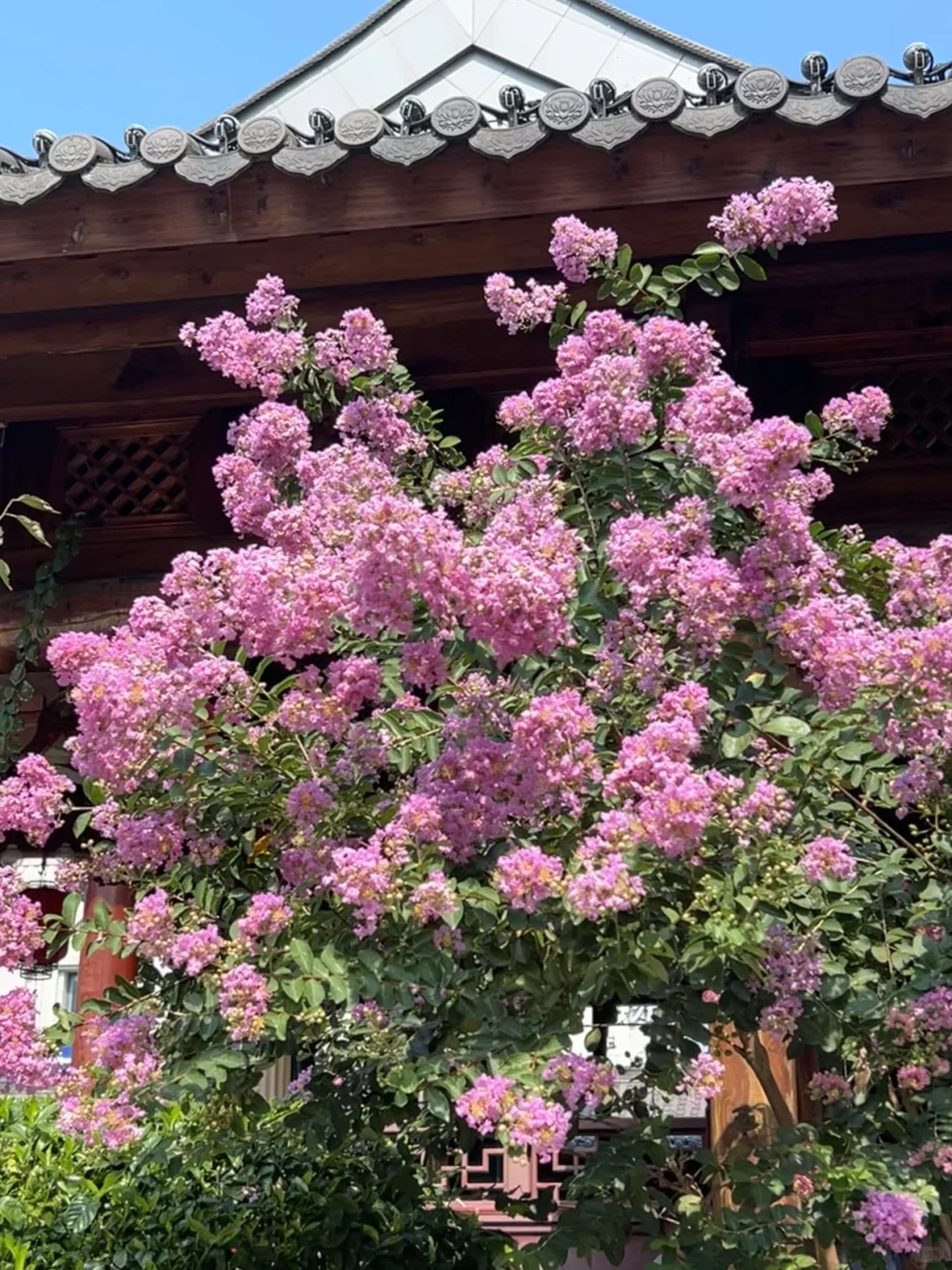 南昌|两天一晚旅游攻略🎉