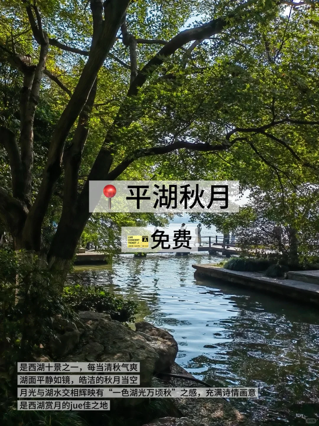 05女大📍杭州/两天一夜旅游攻略❗️