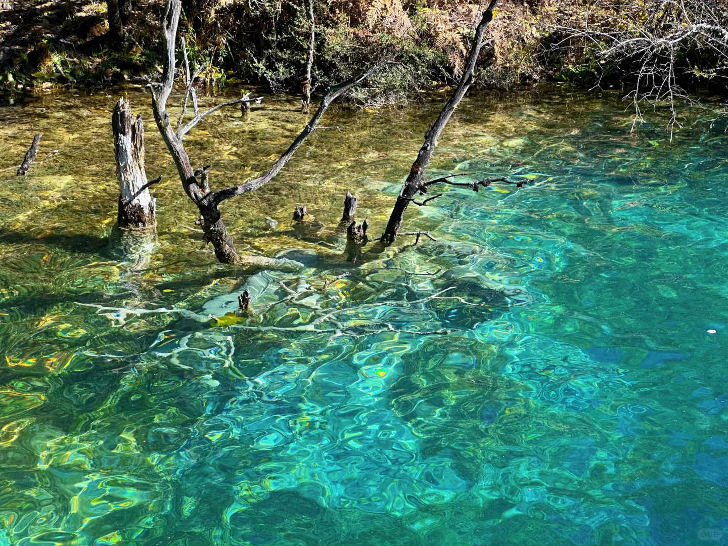 丽江玉龙雪山保姆级攻略|4人实测踩雷&省钱