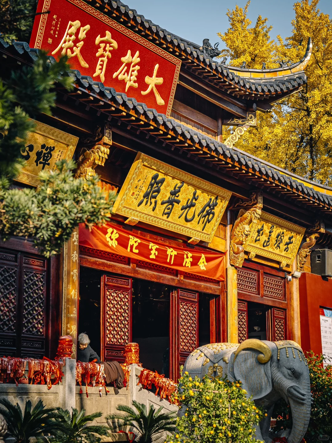 不出合肥，也能拍到很美的银杏景色！