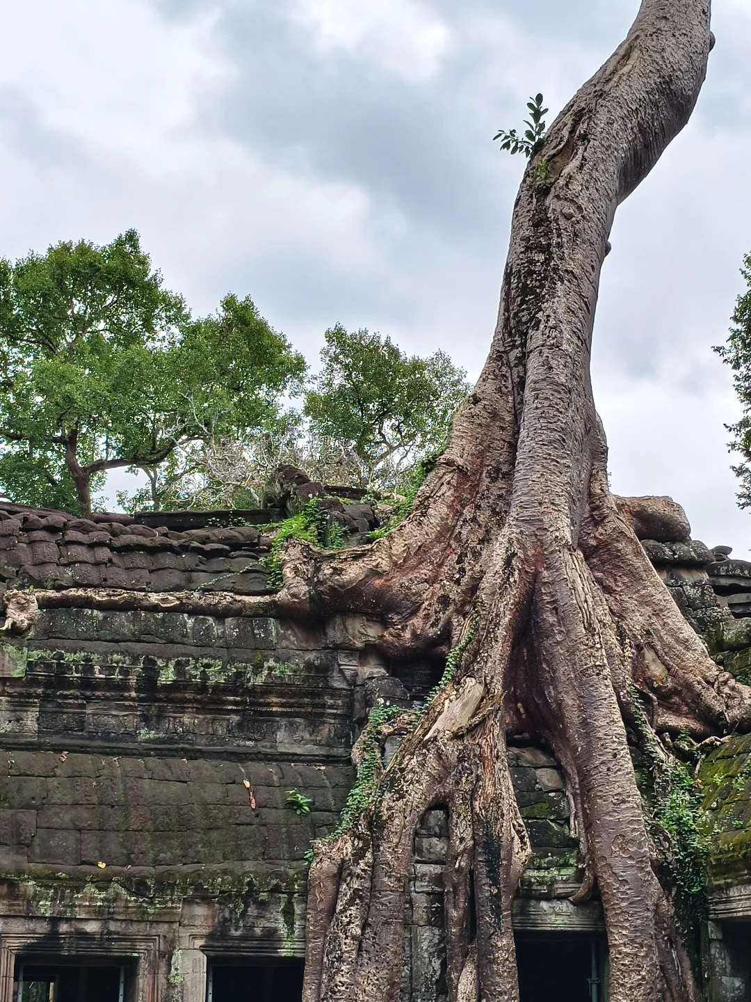 柬埔寨旅游攻略看这一篇就够