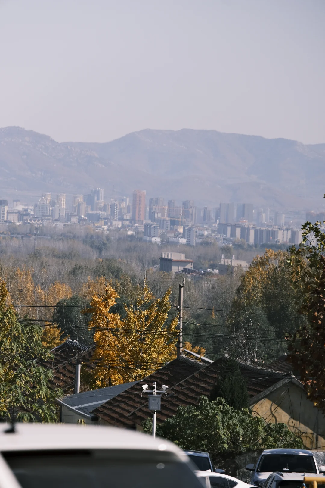 被浮来山角落的烟火气治愈了✨