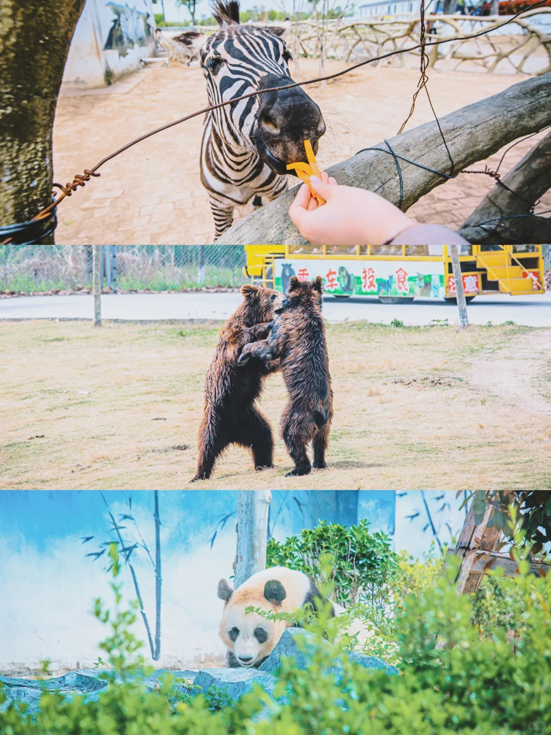 宿州自驾全攻略|美景+食宿,直接抄作业!