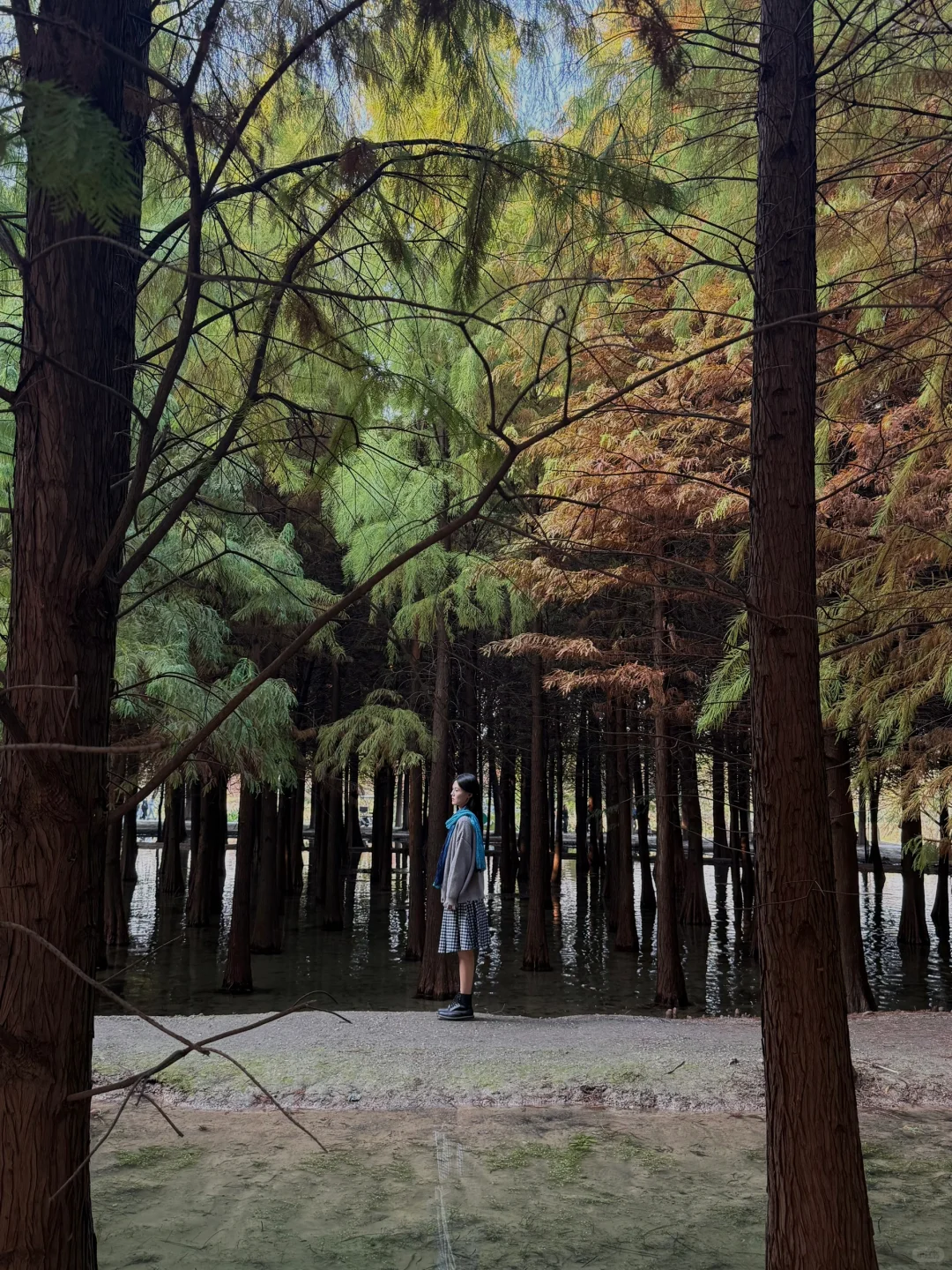 常州|新北水上森林公园