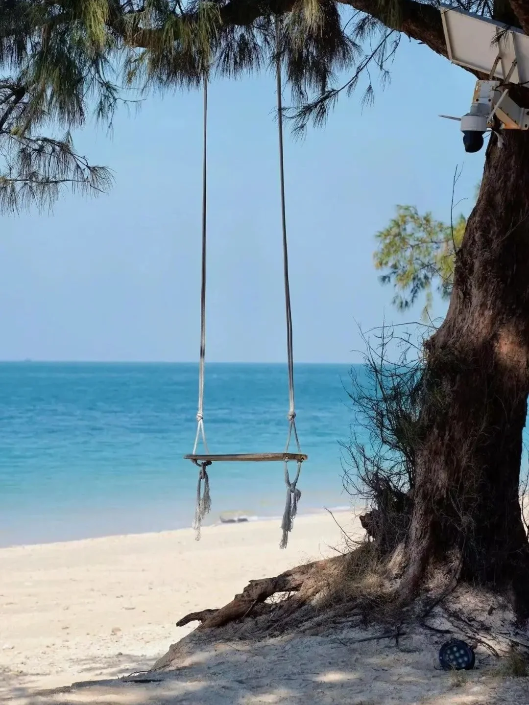 涠洲岛保姆级攻略!附赶海时间表