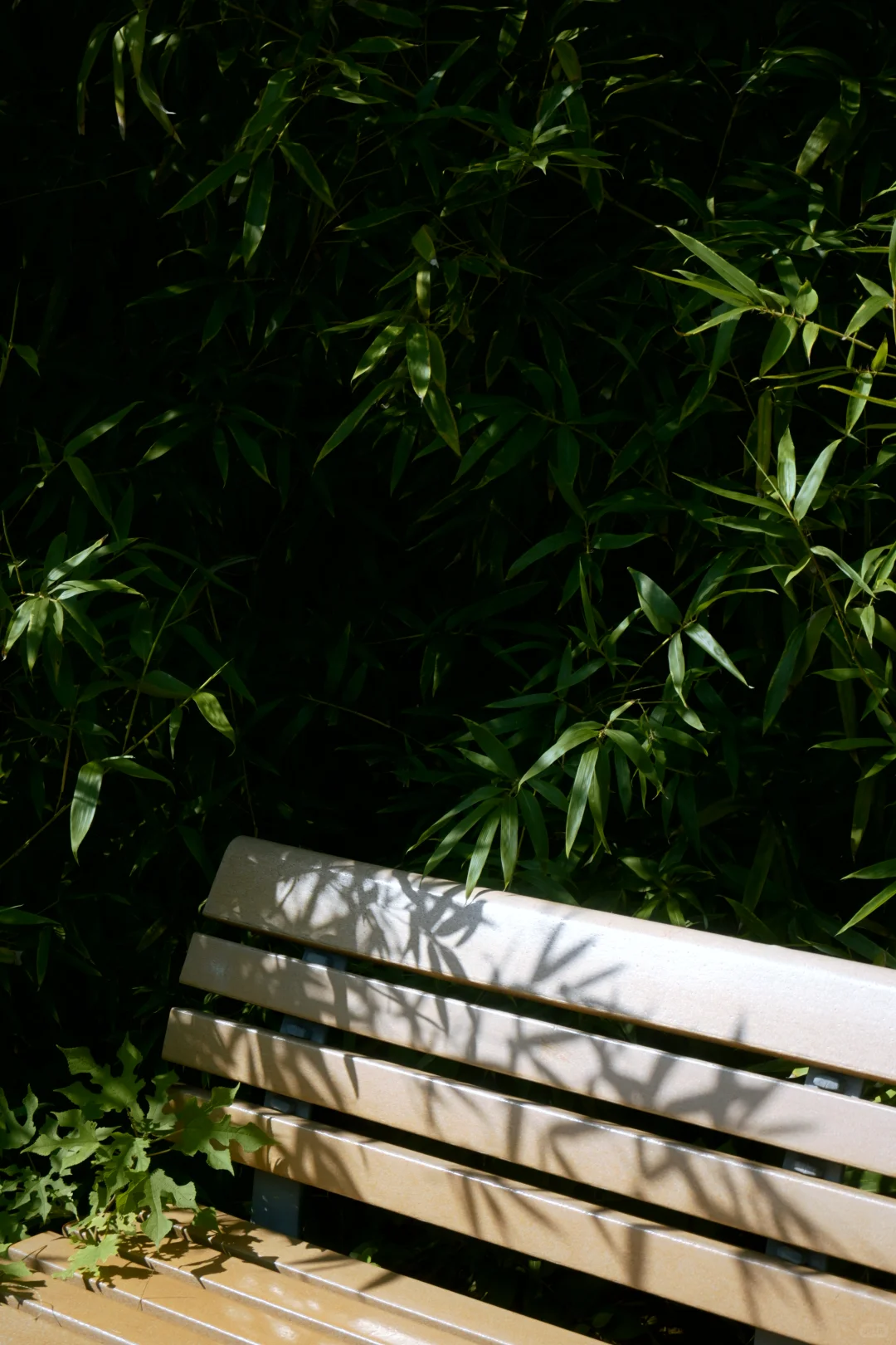 邯郸赵苑 | 初秋风光