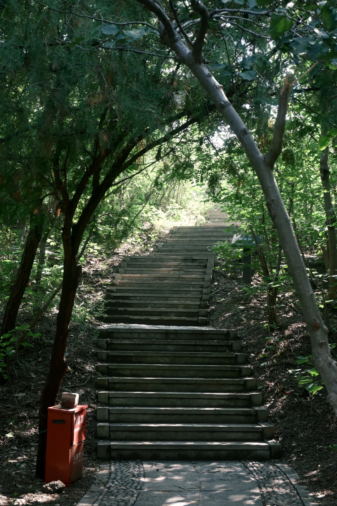 邯郸赵苑 | 初秋风光