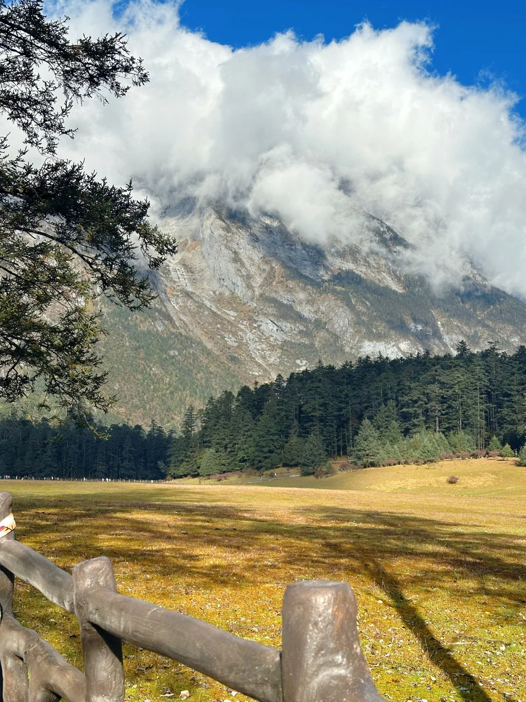 丽江玉龙雪山保姆级攻略|4人实测踩雷&省钱
