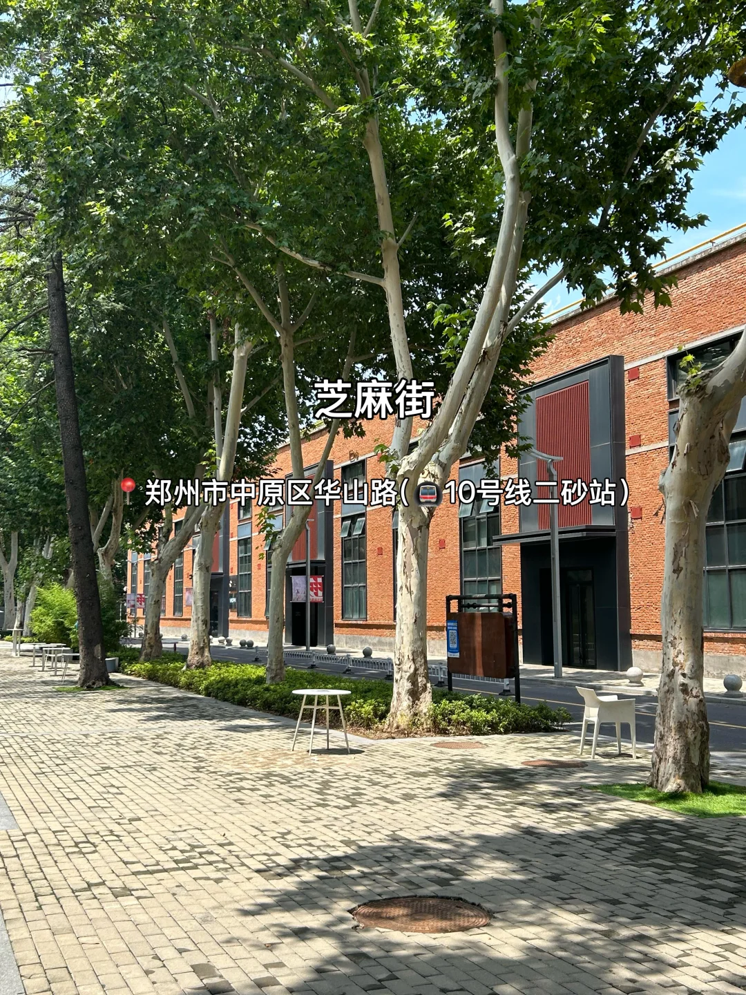 郑州适合citywalk的9条街道！好逛好拍～