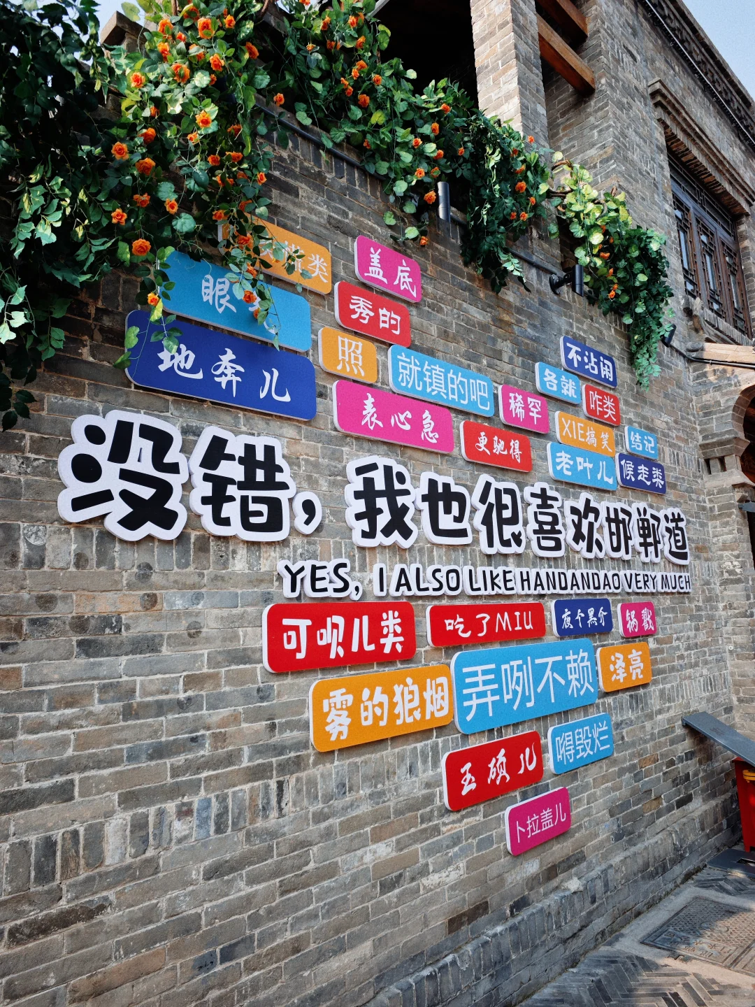 带狗🐶自驾邯郸 | citywalk的一天