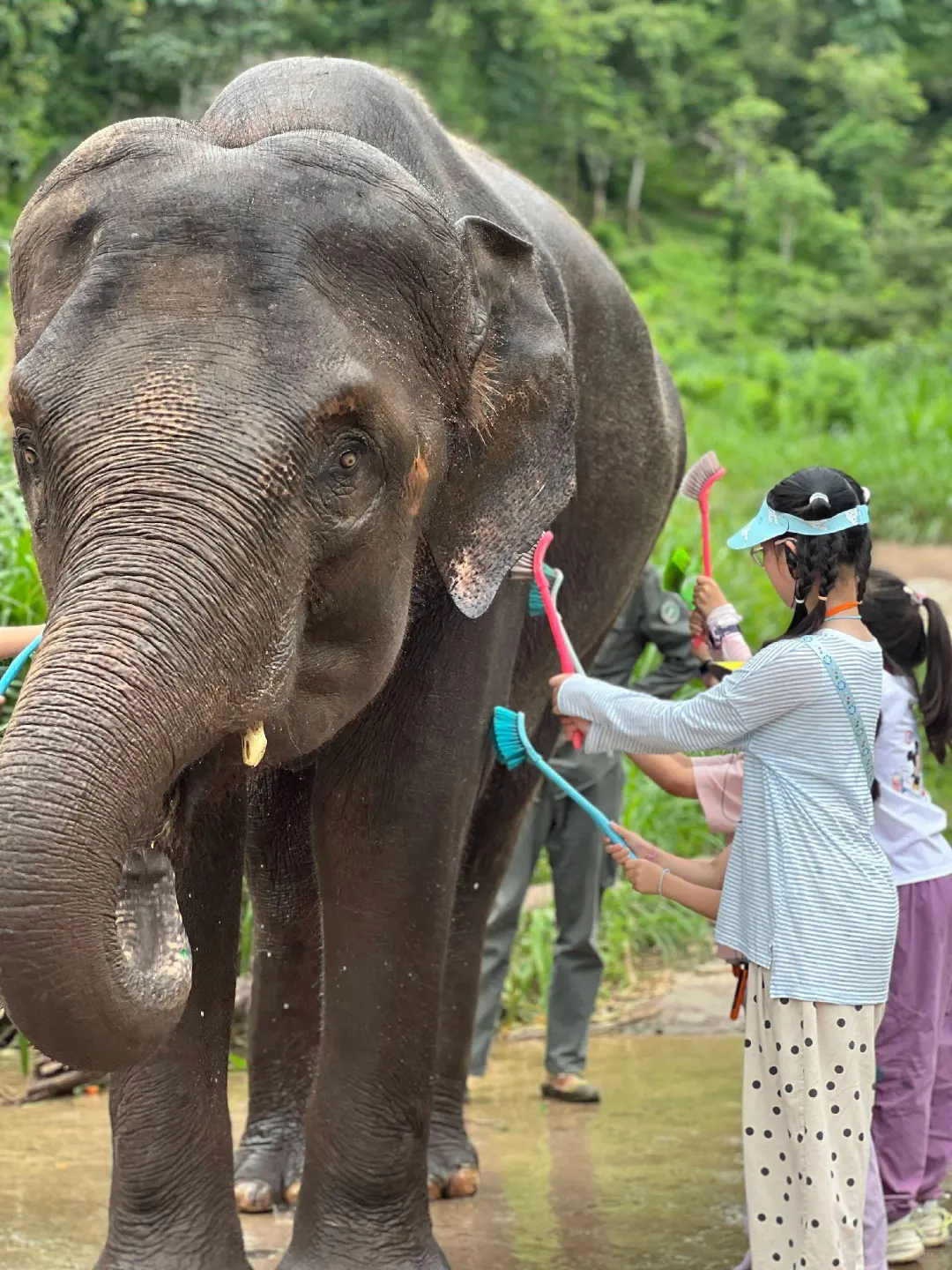 10~12月📍计划去云南的姐妹们✅速速查收