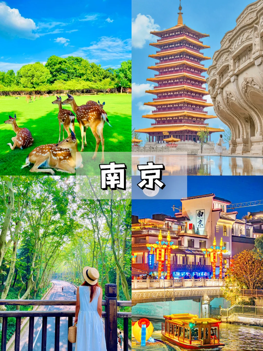 📍江浙沪出发|10-11月秋日周边团建推荐地🍂