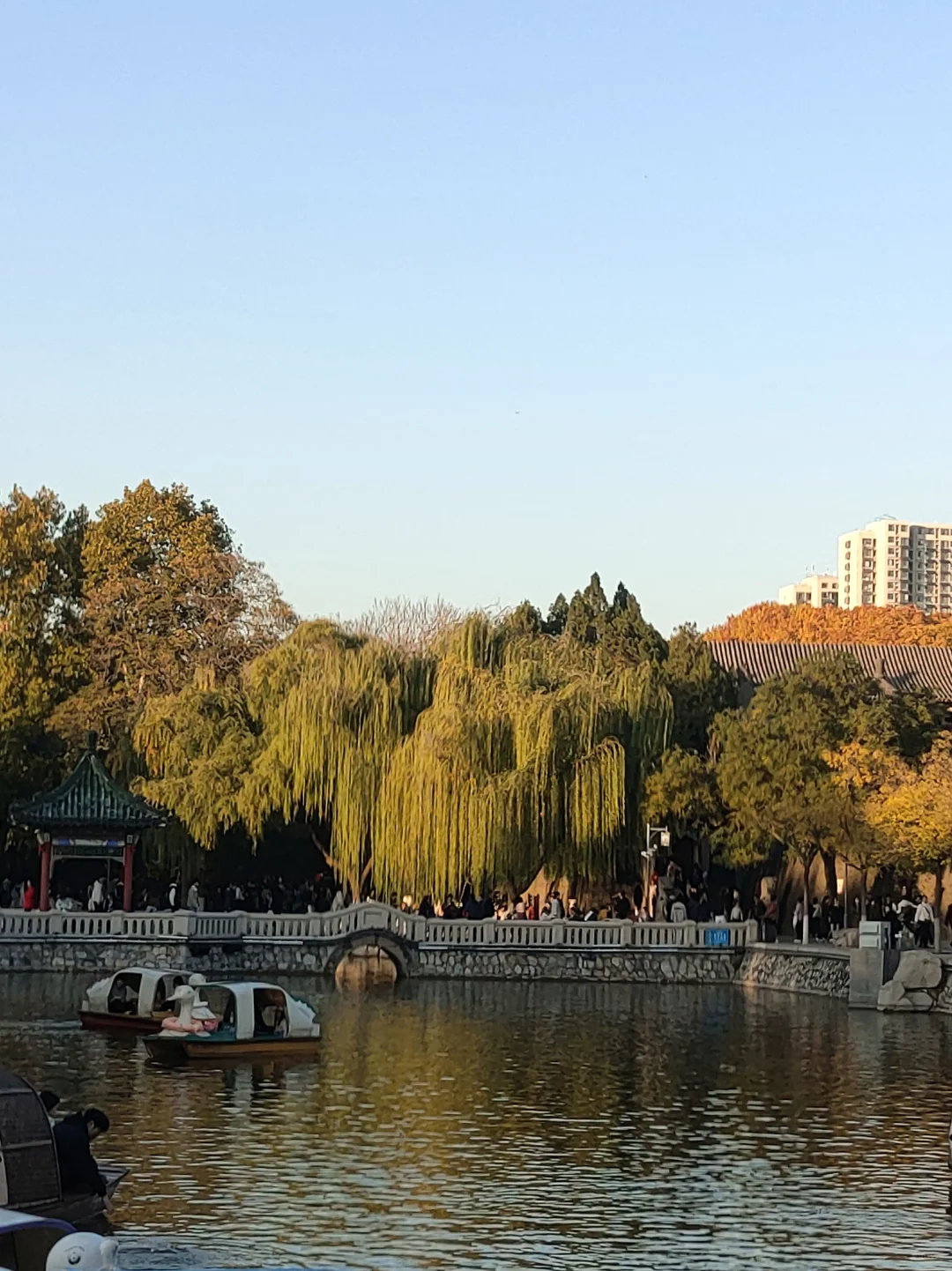 🍂邯郸秋日漫步