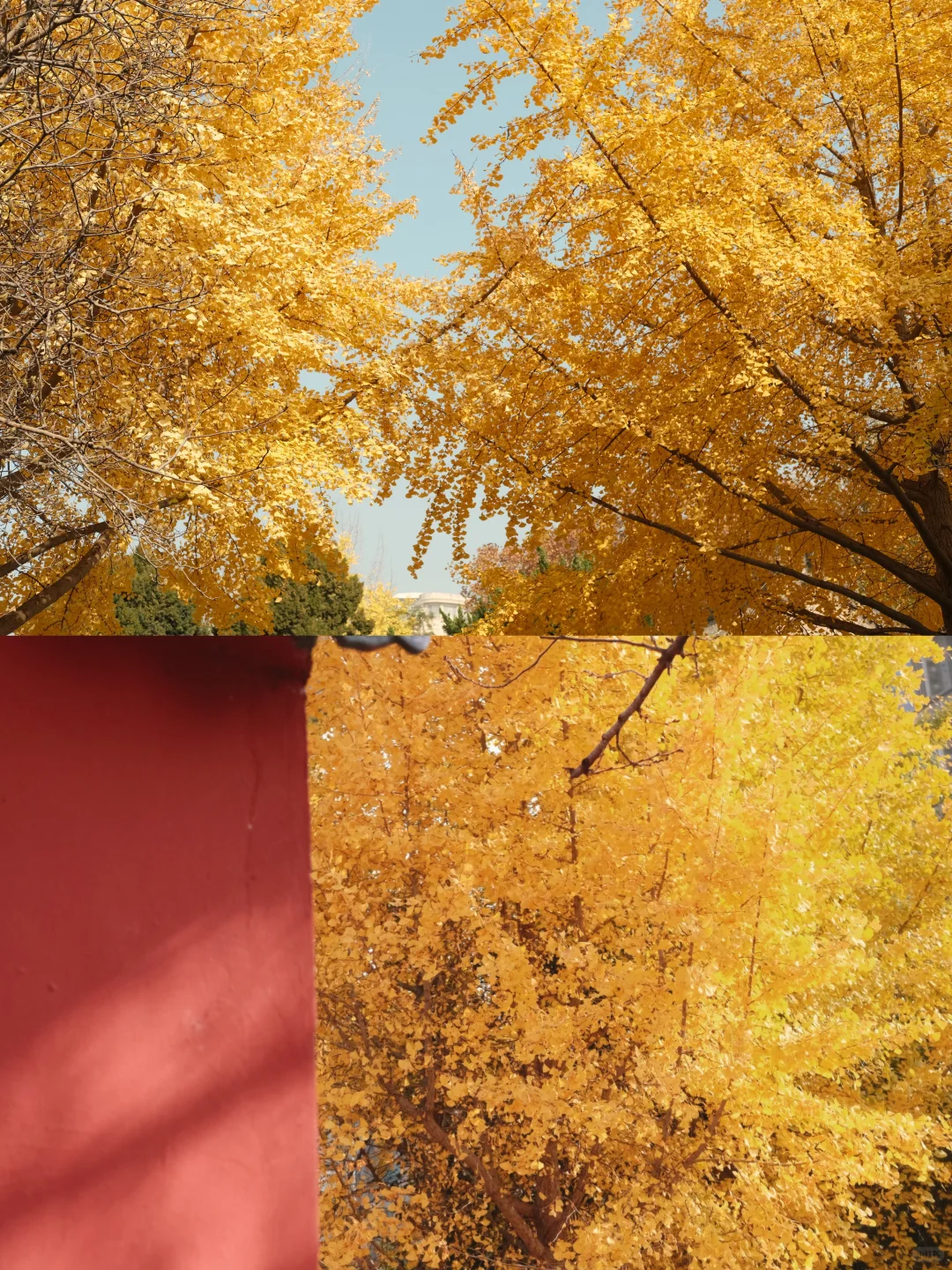 西安四天三晚旅游攻略 纯分享