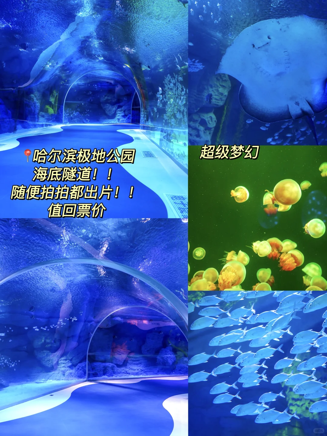 淡季哈尔滨📍旅游攻略(体验感拉满💕