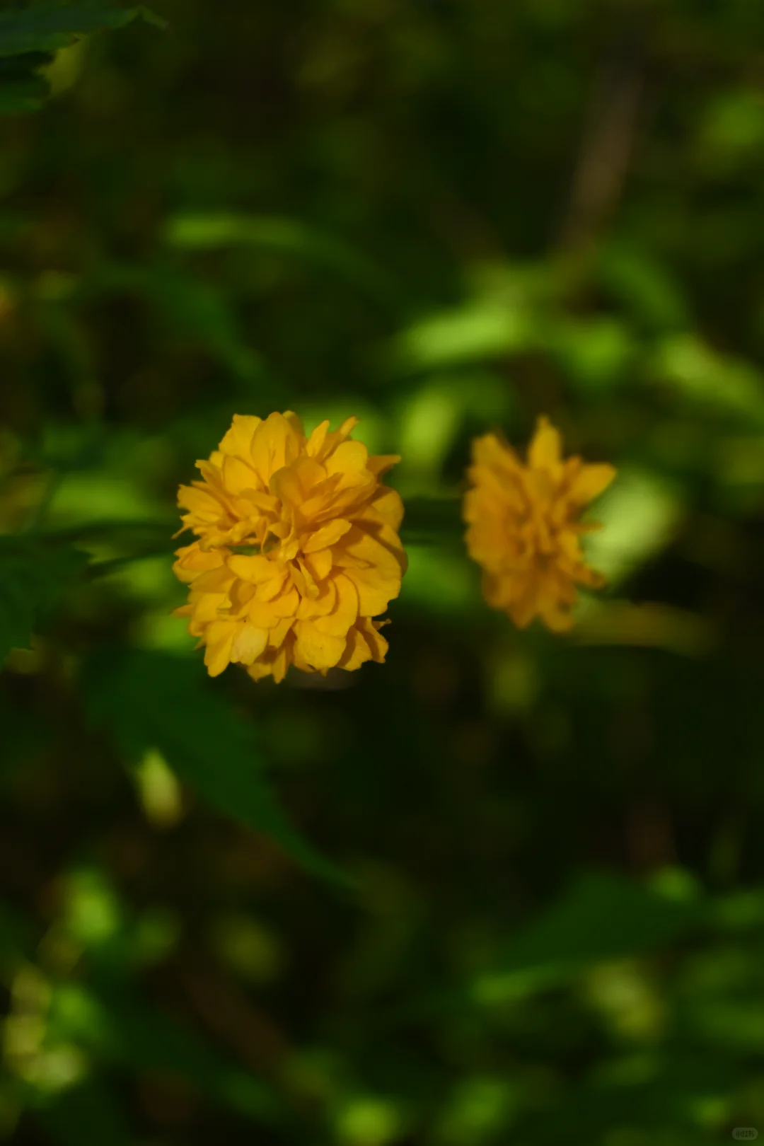 邯郸赵苑 | 初秋风光