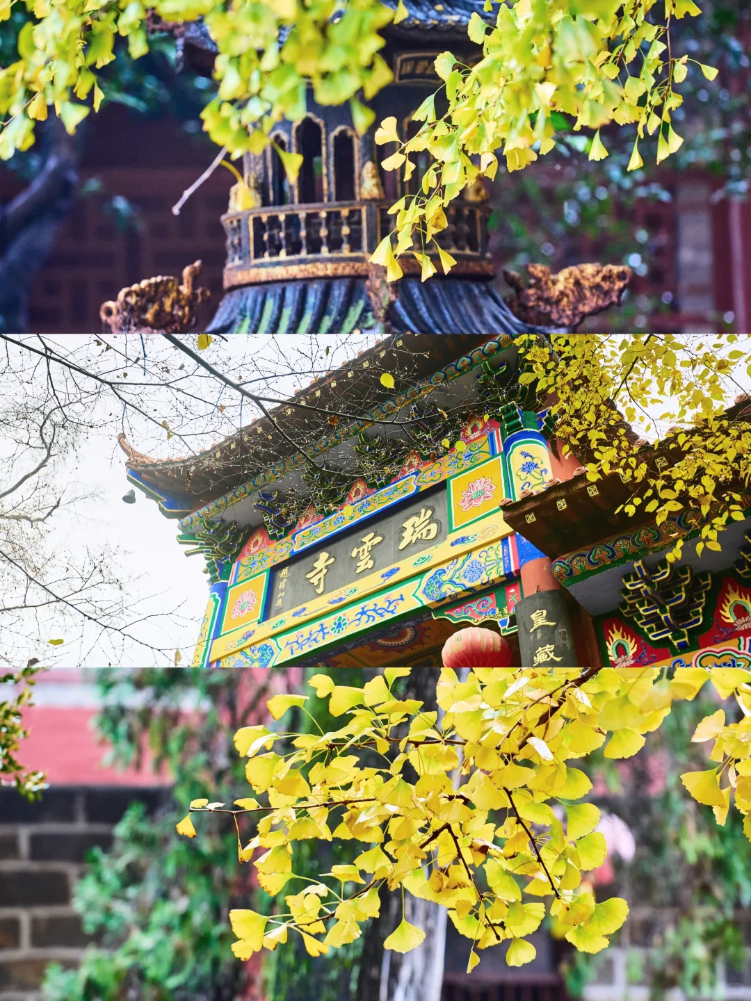 宿州自驾全攻略|美景+食宿,直接抄作业!