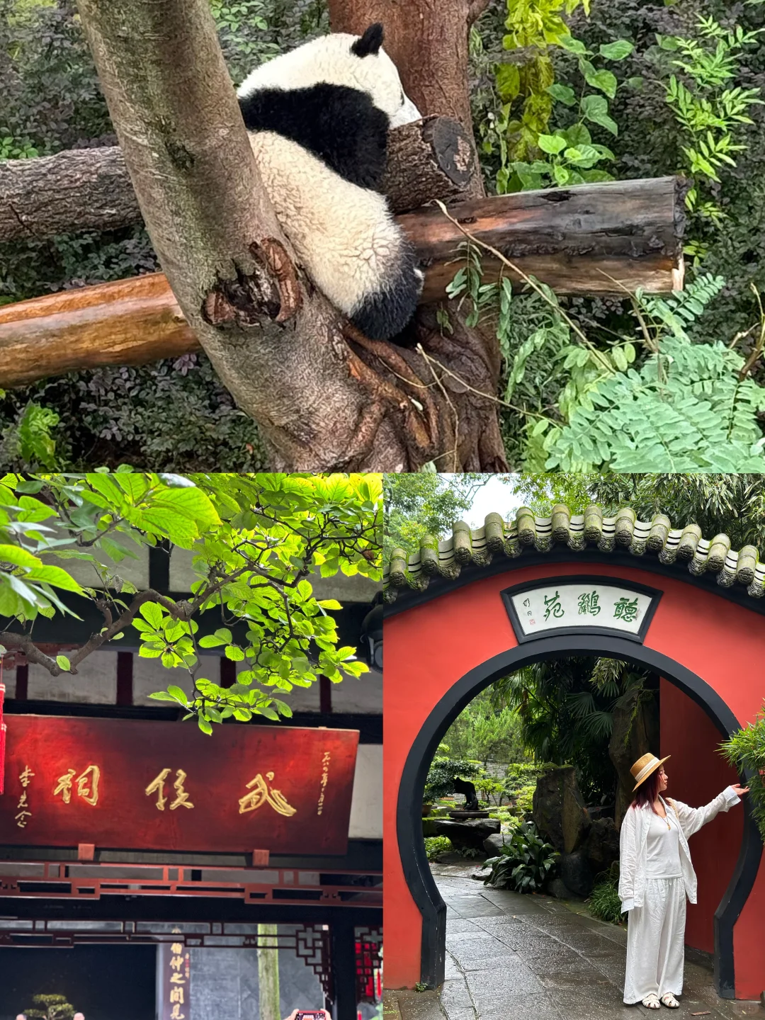 勿喷‼️成都景点锐评！个人真实感受！