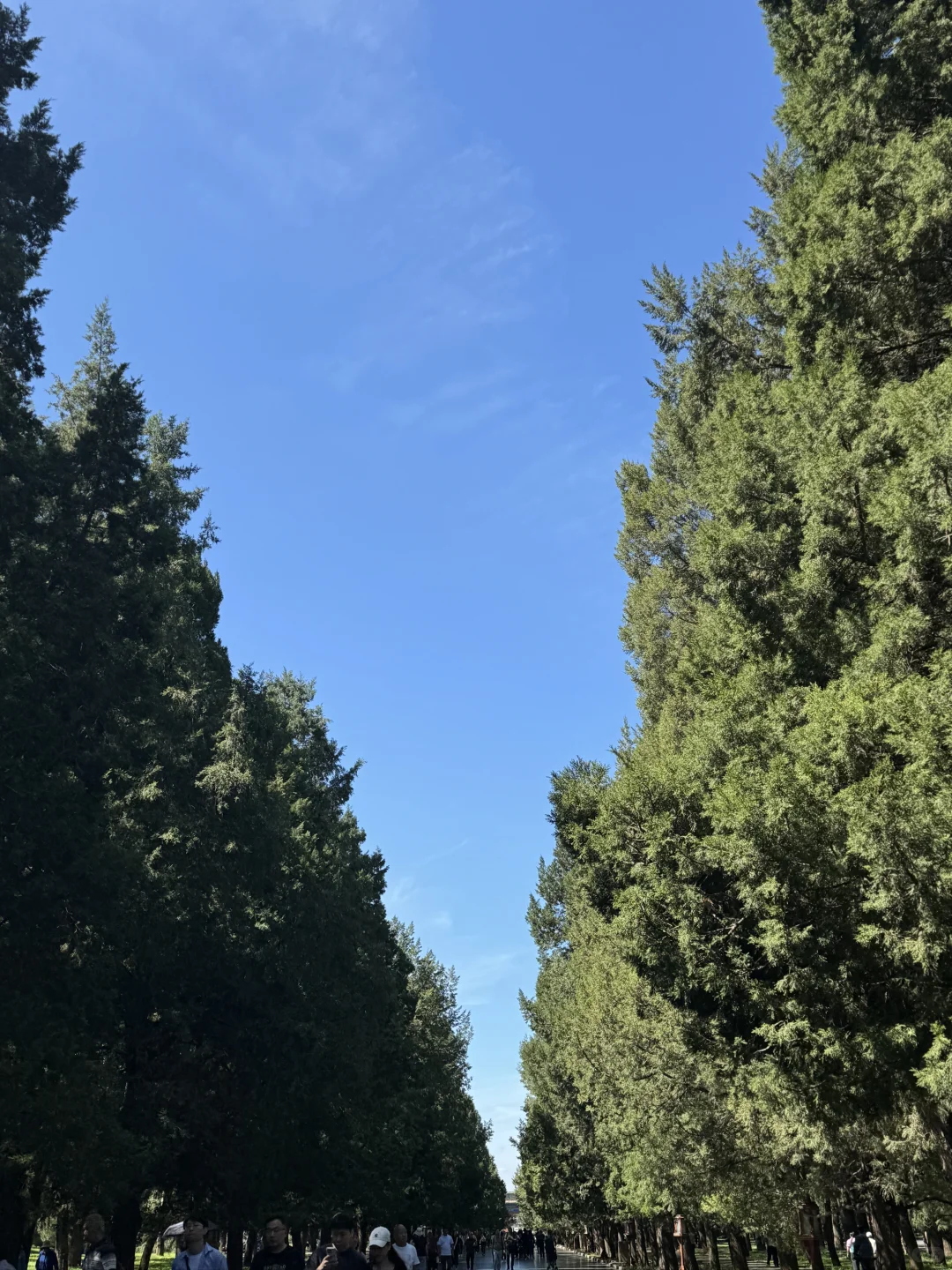 带老妈北京旅行的第一天