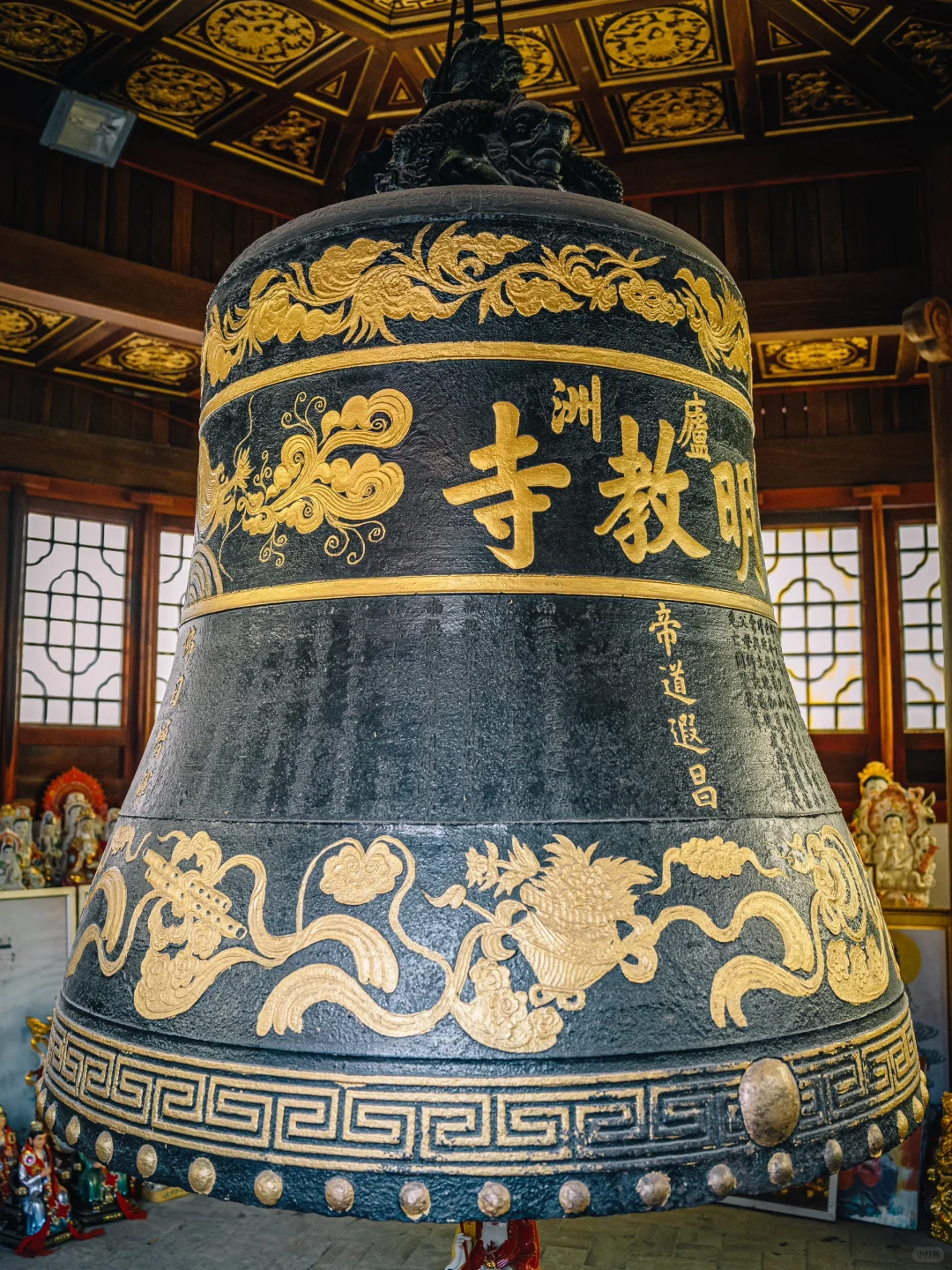 不出合肥，也能拍到很美的银杏景色！