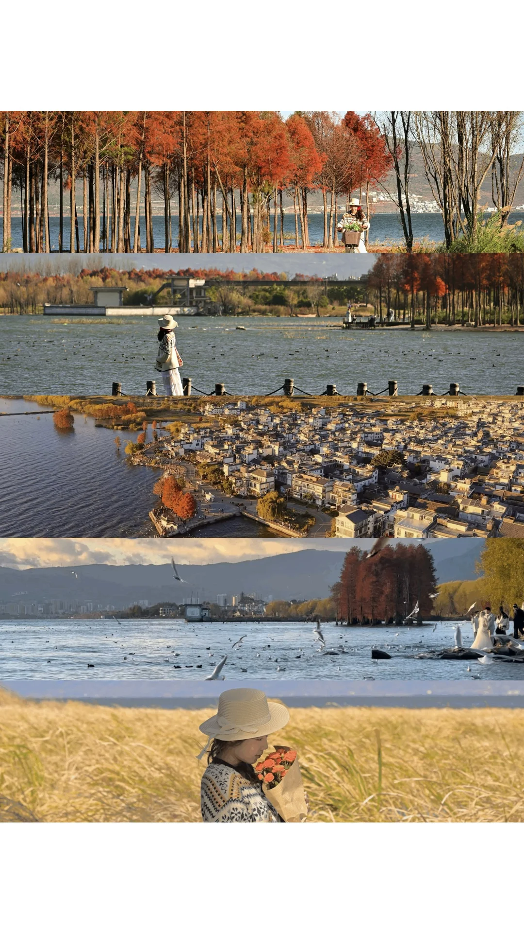 迄今为止最喜欢的秋日旅行地🍂大理两日攻略