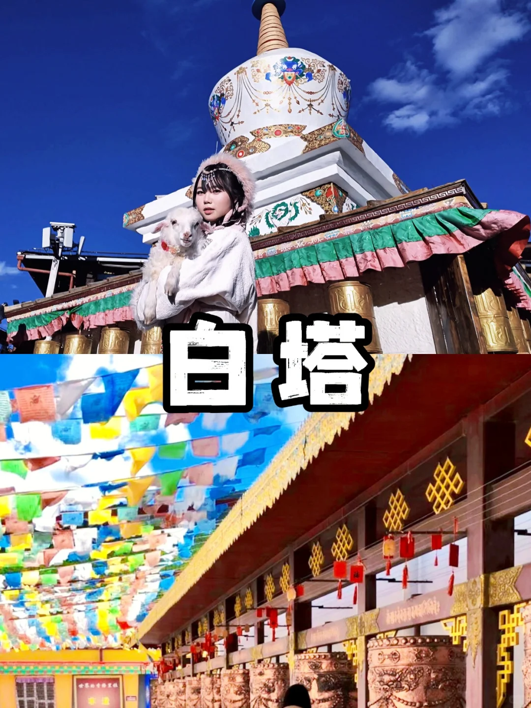 香格里拉网红打卡一日游‼️ 丽江往返78