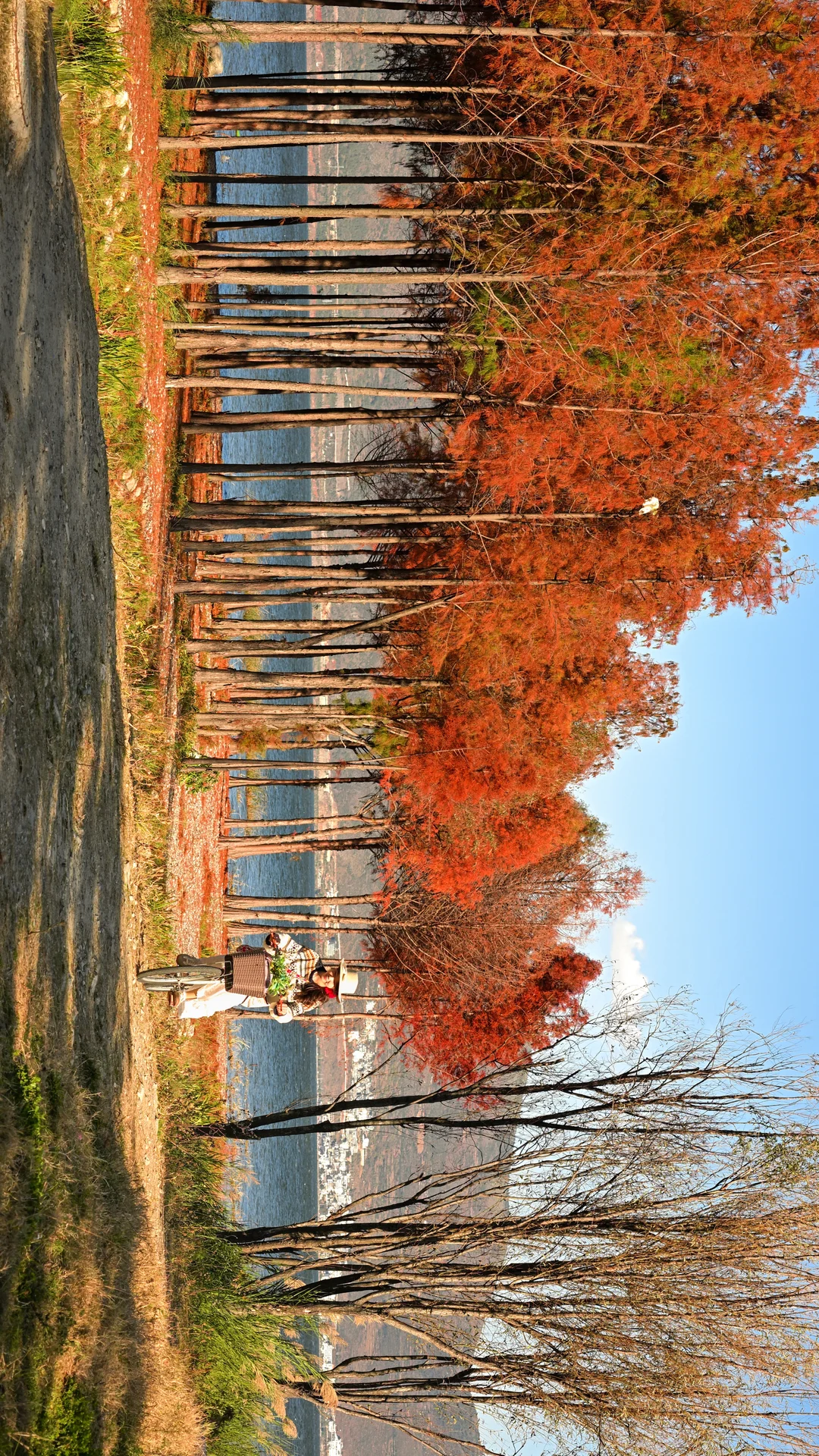 迄今为止最喜欢的秋日旅行地🍂大理两日攻略