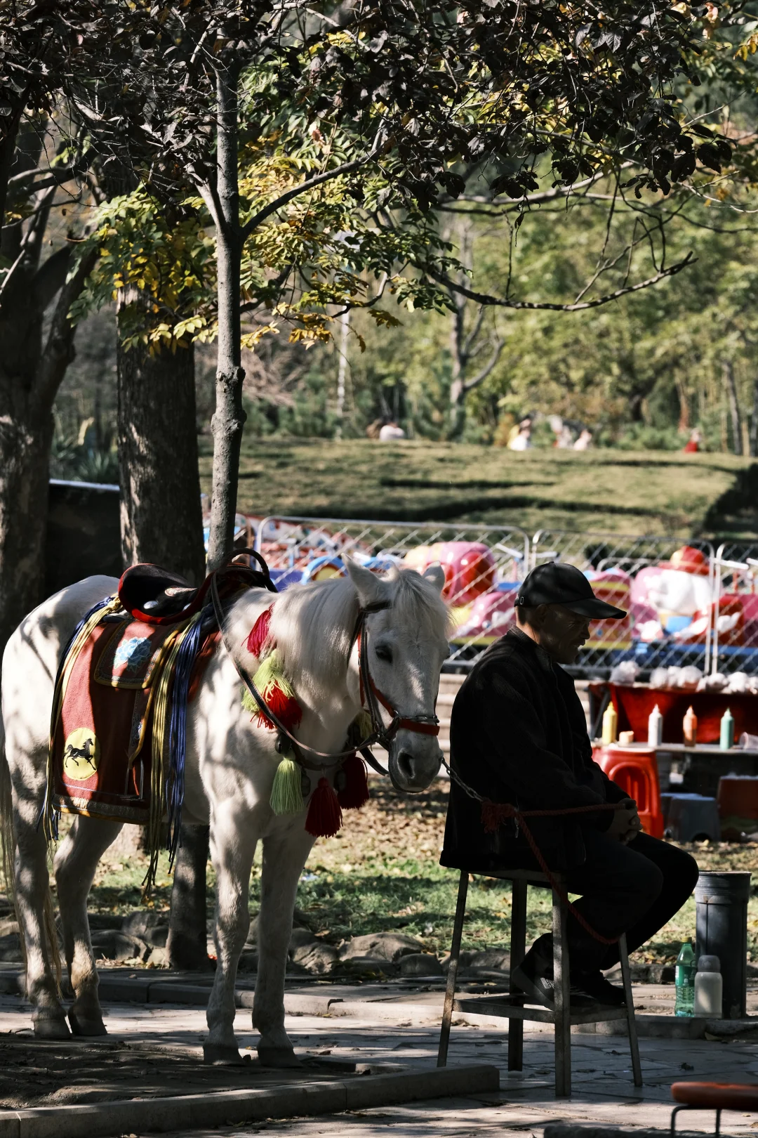 被浮来山角落的烟火气治愈了✨