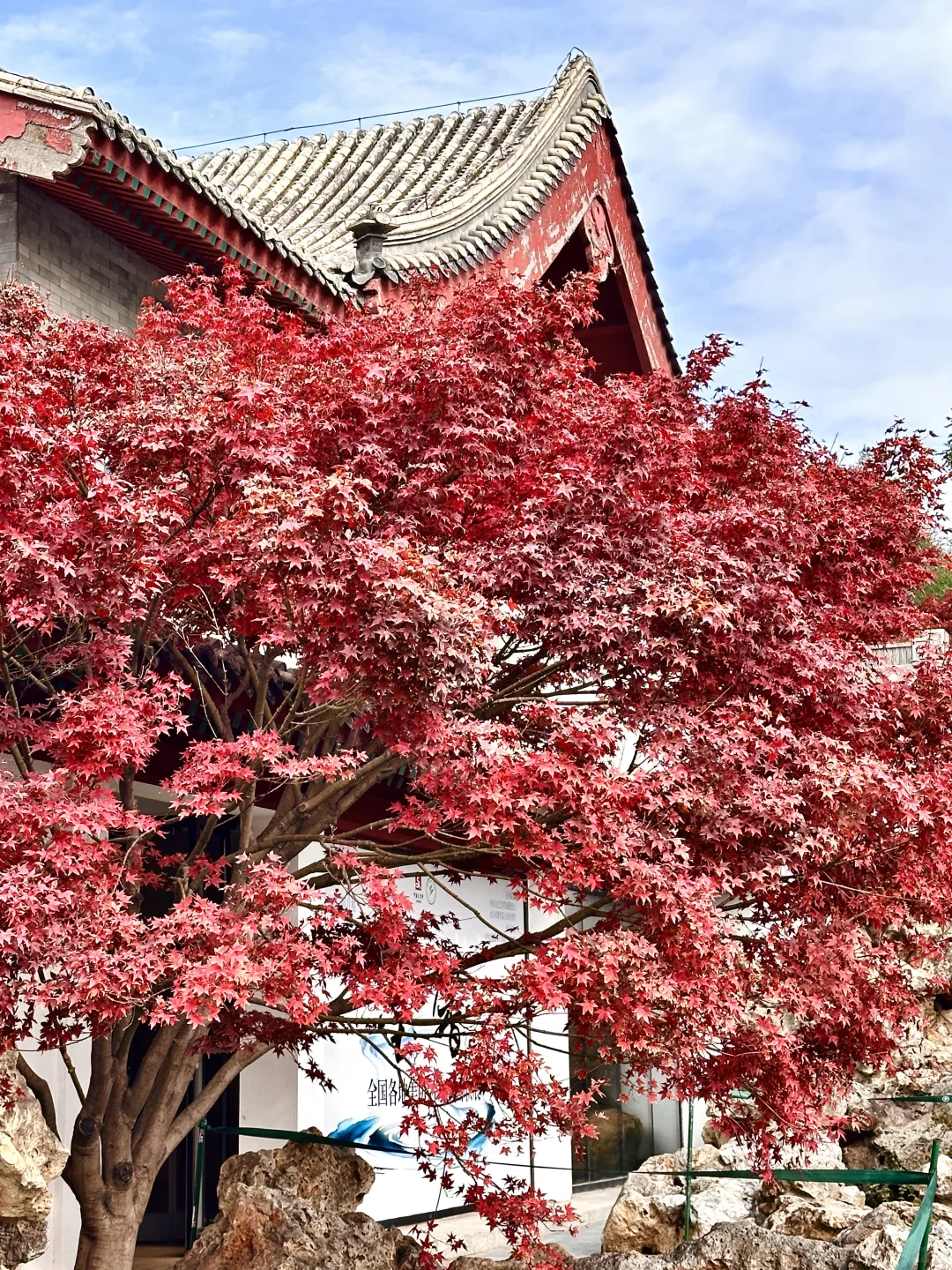 北京的秋还没结束!本周9️⃣个公园赏秋依然美