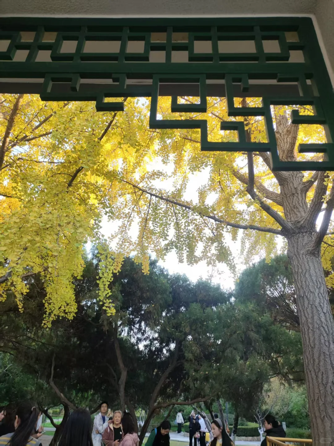 🍂邯郸秋日漫步