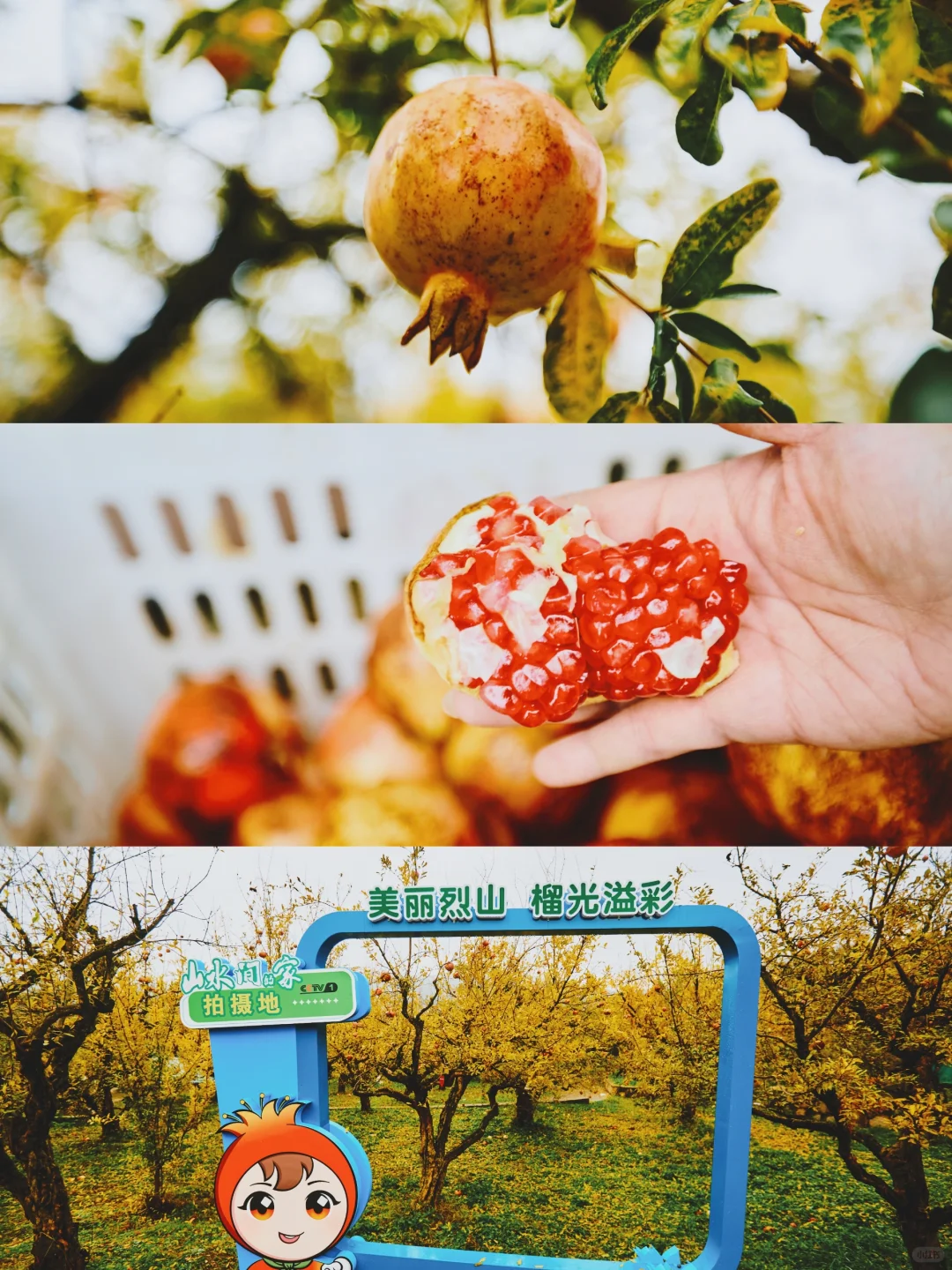 宿州自驾全攻略|美景+食宿,直接抄作业!