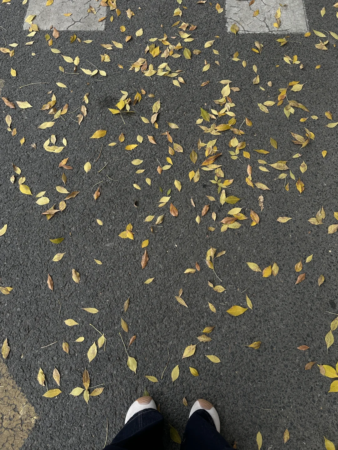 👶🏻济南亲子游｜解锁济南新玩法！