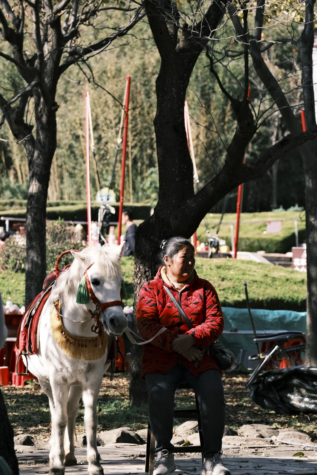 被浮来山角落的烟火气治愈了✨